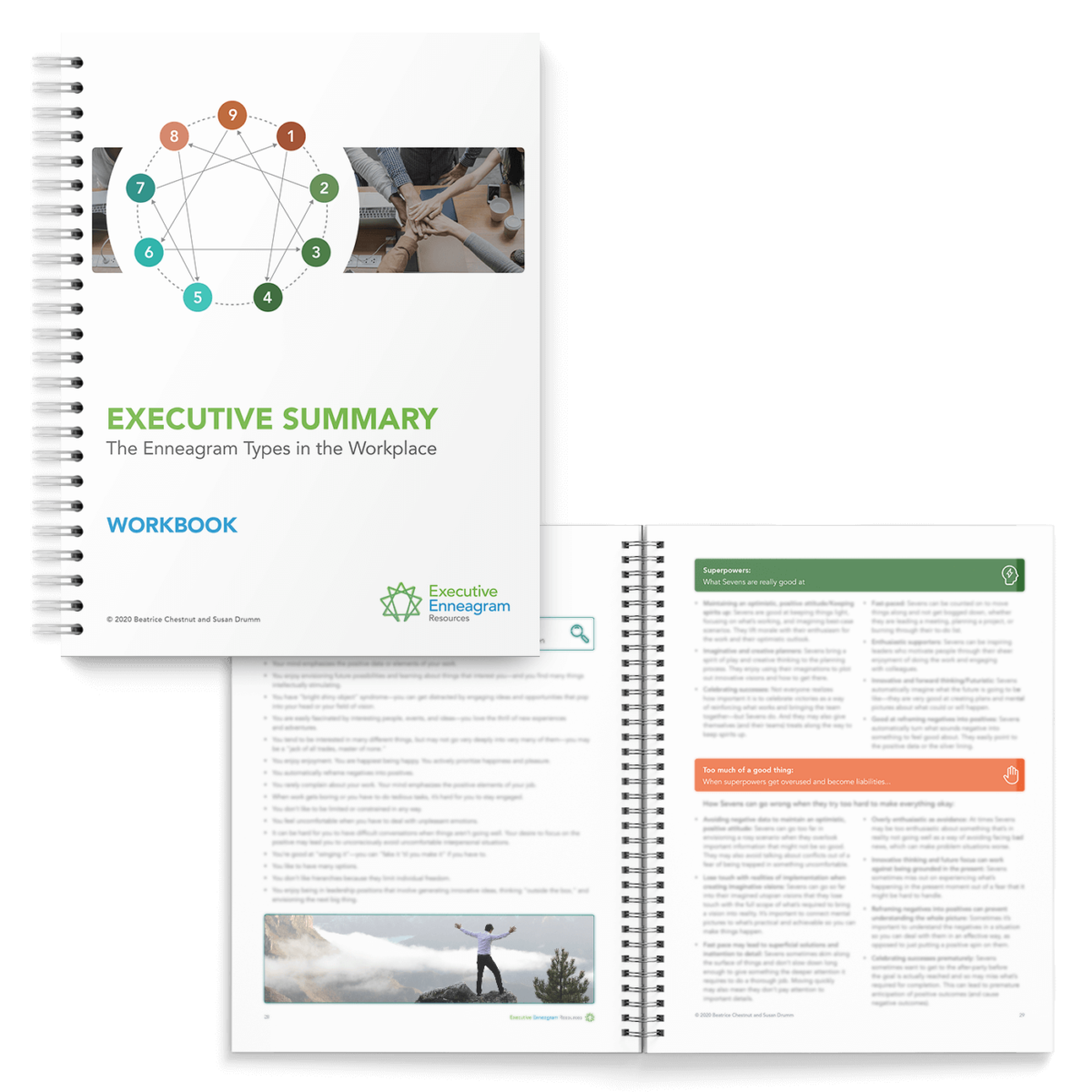 Executive Summary Workbook