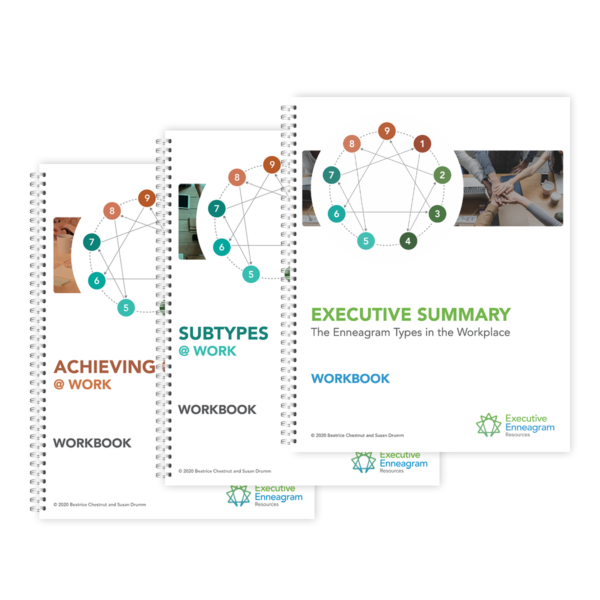 Executive Enneagram Workbook Kit